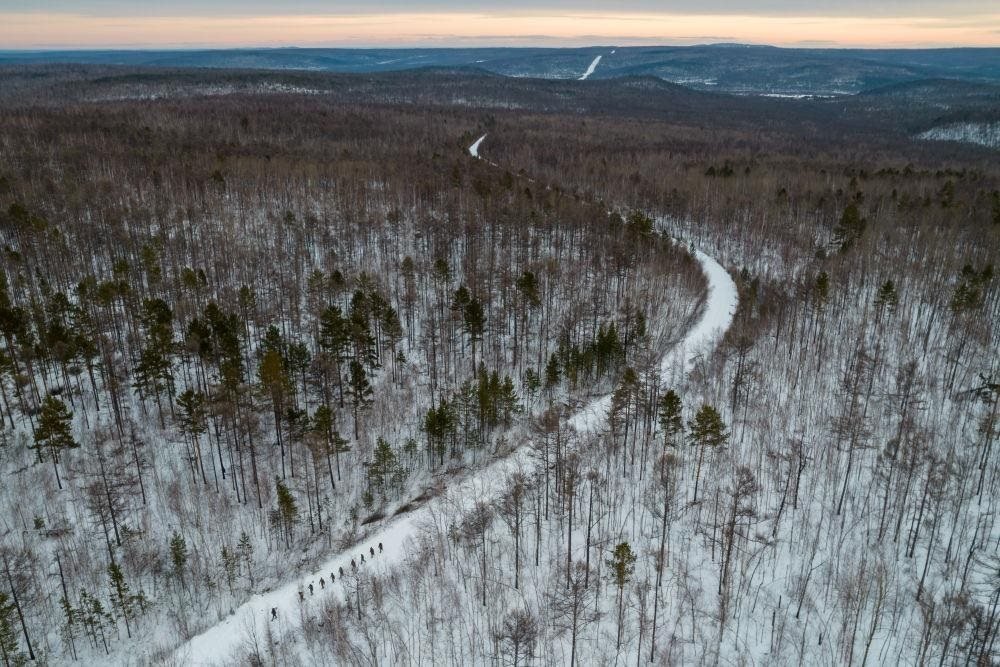 △2023年1月，漠河林場數(shù)十名職工自發(fā)組成的森林撫育隊(duì)伍，在人跡罕至的山林中作業(yè)。