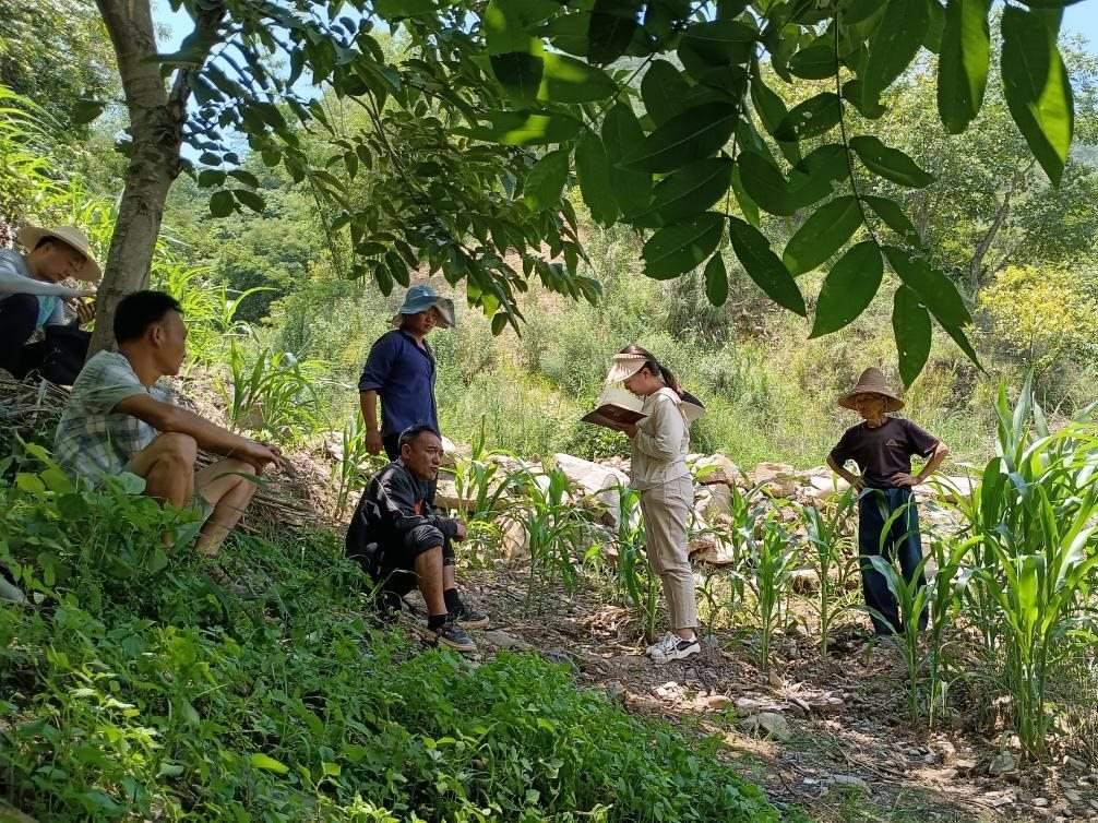 2023年7月18日，兩家村民發(fā)生土地方面的糾紛，李江女（右二）在記錄情況。受訪者供圖