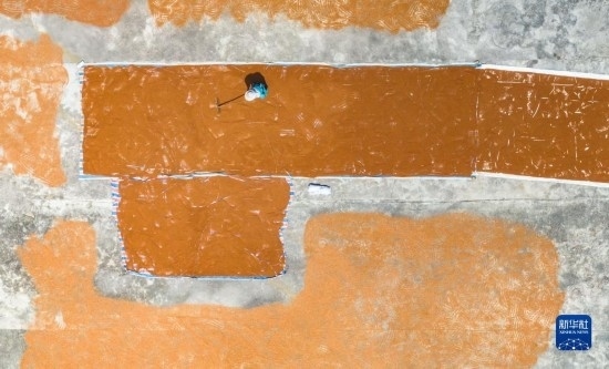 9月16日，農(nóng)民在貴州省安順市西秀區(qū)大西橋鎮(zhèn)吉昌村晾曬高粱（無(wú)人機(jī)照片）。