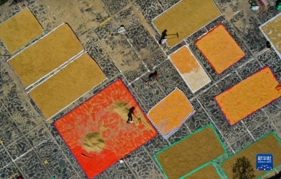 9月16日，貴州省黔東南苗族侗族自治州丹寨縣南皋鄉(xiāng)石橋村村民在晾曬農(nóng)作物（無(wú)人機(jī)照片）。