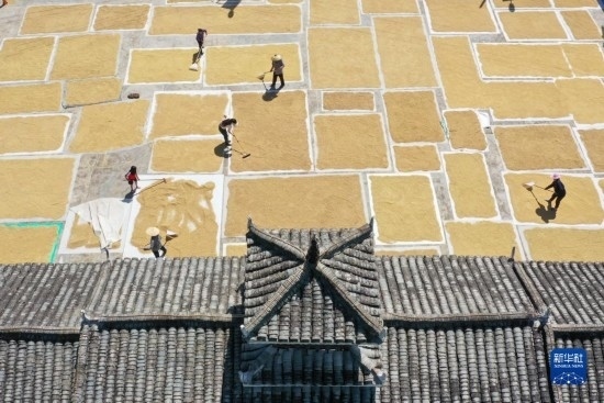 9月16日，村民在貴州省黔東南苗族侗族自治州從江縣剛邊壯族鄉(xiāng)三聯(lián)村晾曬稻谷（無(wú)人機(jī)照片）。