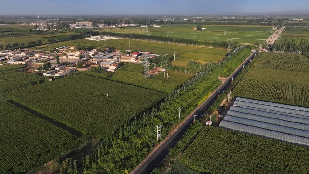 東興村周邊建起防護(hù)林網(wǎng)（無人機(jī)照片，2023年9月12日攝）。新華社記者李云平 攝