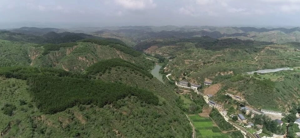 黃土溝壑中的高西溝村滿眼綠色（無人機(jī)照片，2023年7月26日）。新華社記者陳昌奇 攝