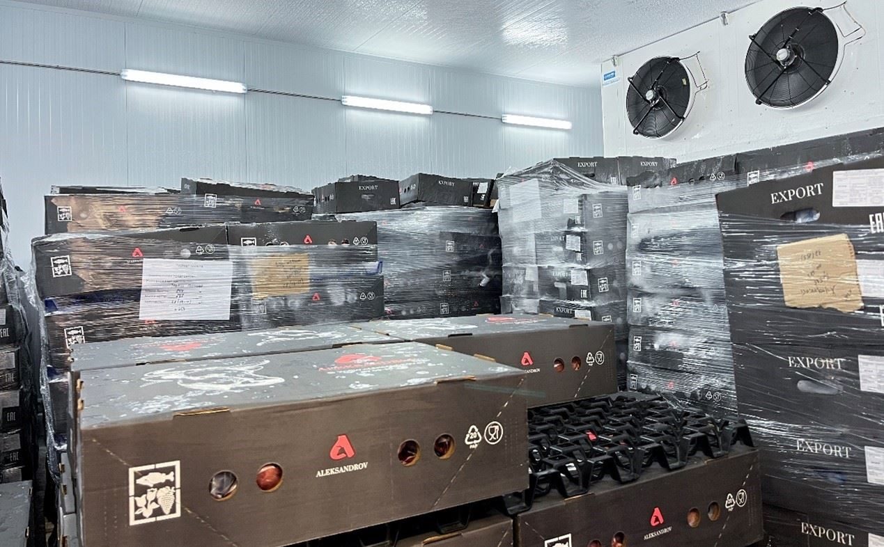 恒溫冷庫(kù)中，包裝好的牛肉等待發(fā)往中國(guó)。人民網(wǎng)記者 朱虹攝