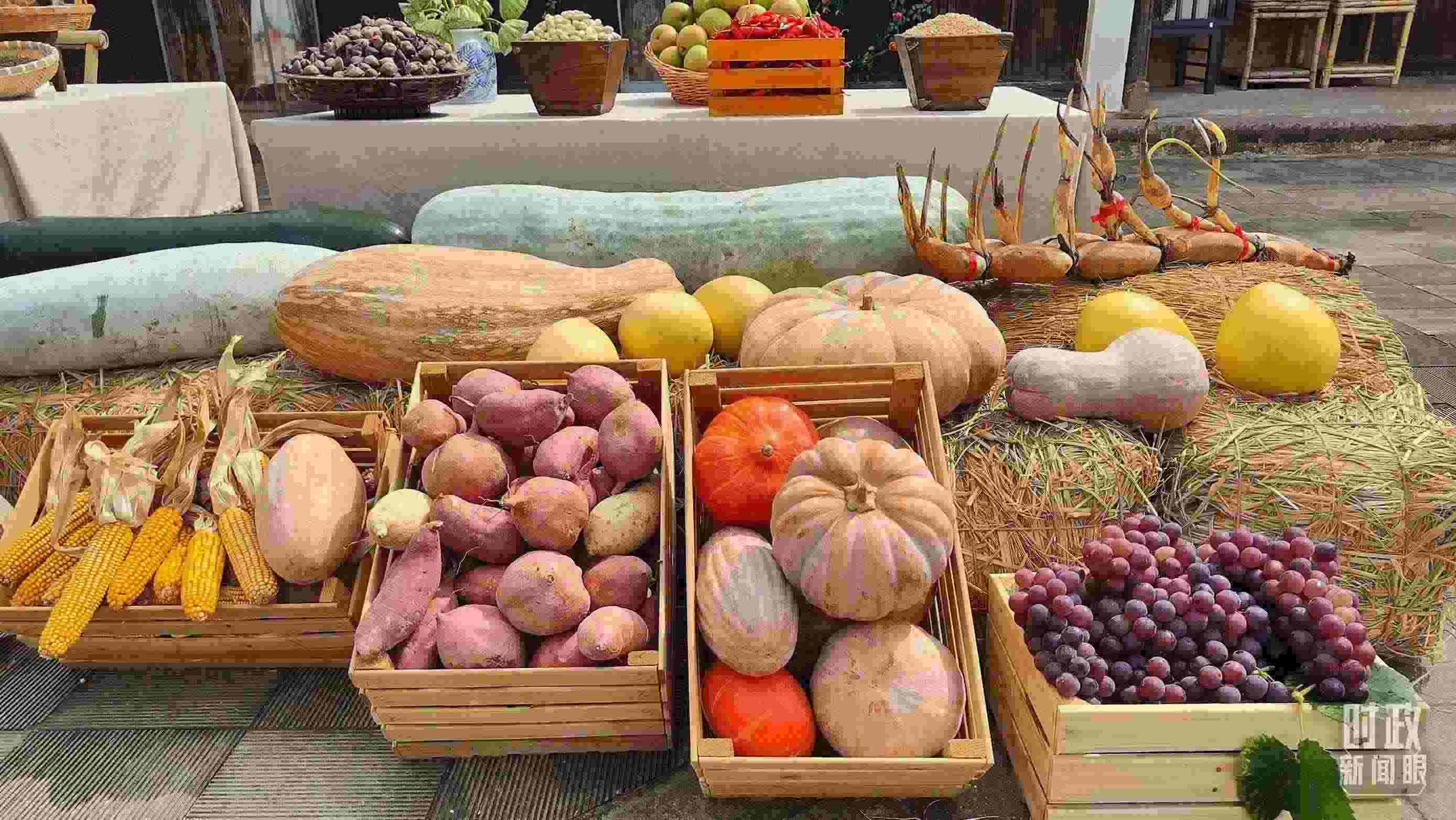 △村廣場“共富市集”，擺放著種類豐富的特色農(nóng)產(chǎn)品。（總臺央視記者楊立峰拍攝）