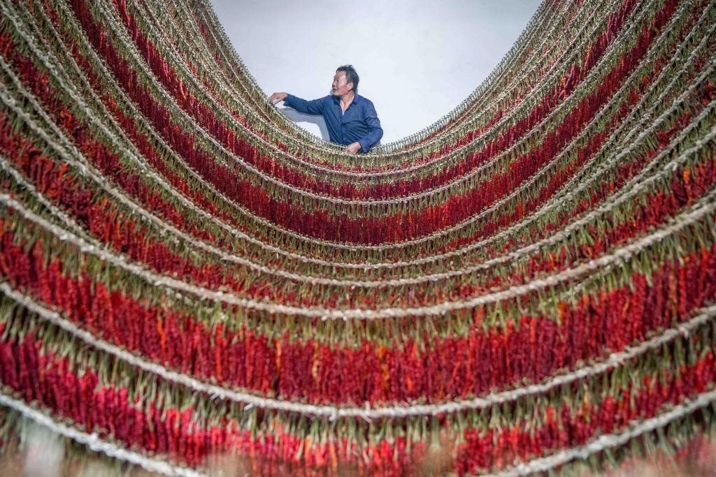 在貴州省畢節(jié)市大方縣理化鄉(xiāng)金雞村，村民查看辣椒烘干情況。新華社發(fā) 羅大富攝