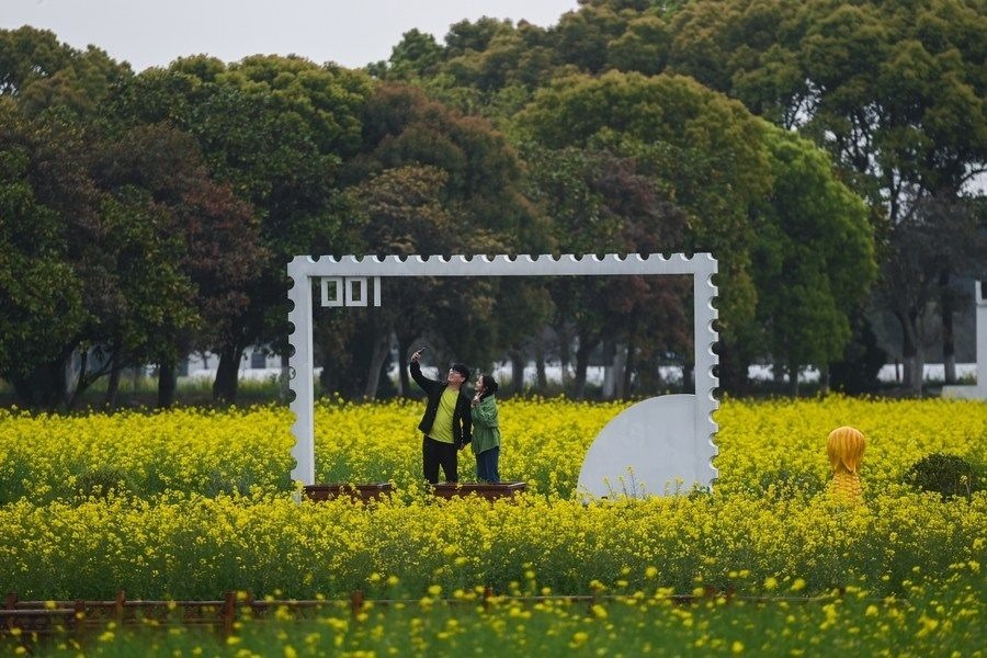  游客在浙江嘉興市秀洲區(qū)王店鎮(zhèn)鎮(zhèn)中村的“青青樂(lè)地”農(nóng)耕文化園內(nèi)游玩（2023年4月3日攝）。