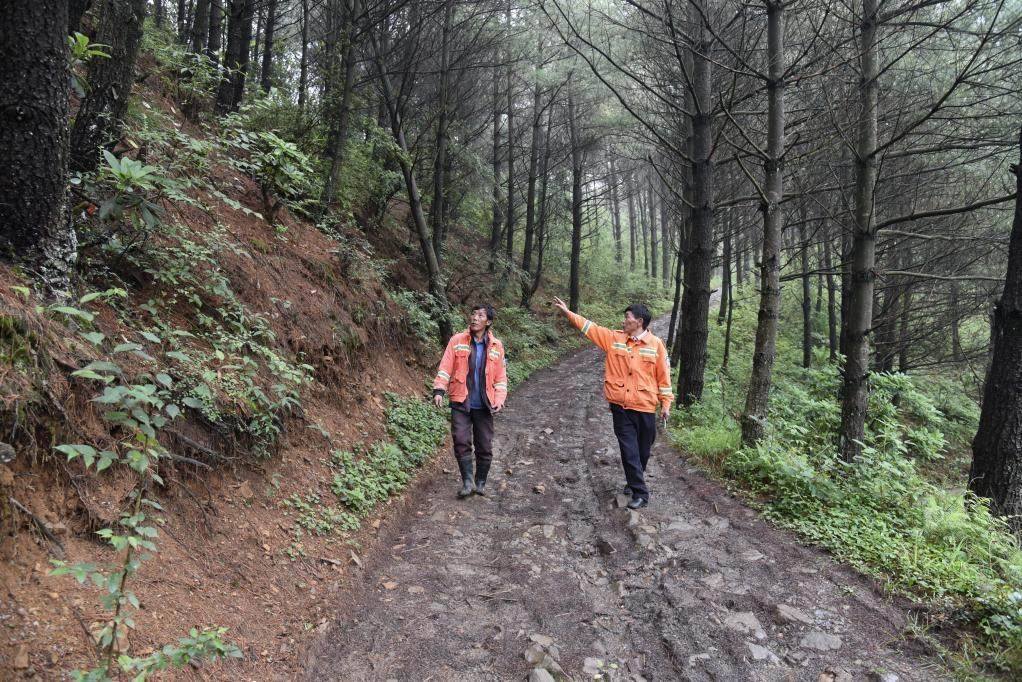海雀村生態(tài)護(hù)林員馬正安（左）和海雀村林管員王光德（右）在日常巡山護(hù)林。新華社記者 李凡 攝
