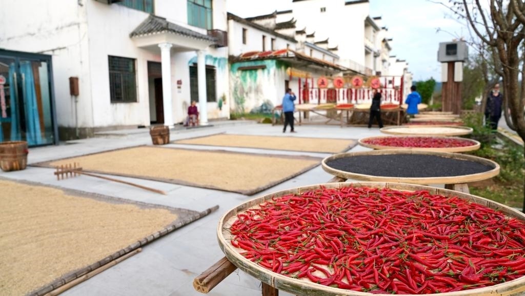 近日拍攝的江西省上饒市婺源縣秋口鎮(zhèn)王村石門自然村。新華社記者 胡晨歡 攝