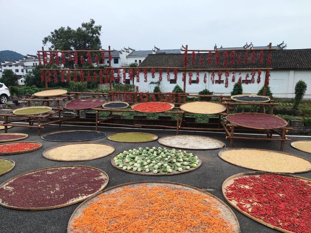 近日，江西省上饒市婺源縣秋口鎮(zhèn)王村村民晾曬的農(nóng)作物。新華社記者 劉佳敏 攝