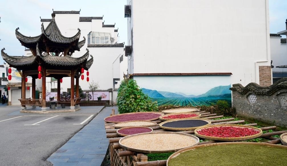 近日拍攝的江西省上饒市婺源縣秋口鎮(zhèn)王村石門自然村曬秋場景。新華社記者 胡晨歡 攝