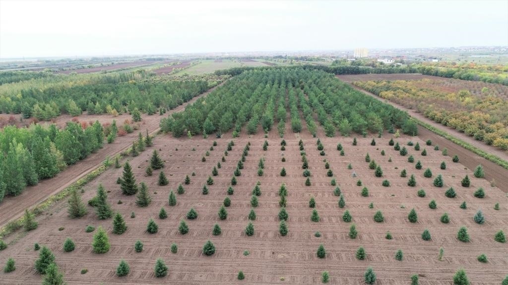 這是2023年9月11日在哈薩克斯坦首都阿斯塔納拍攝的一處植物種質資源苗圃（無人機照片）。新華社發(fā)（法爾哈特·圖克諾夫 攝）