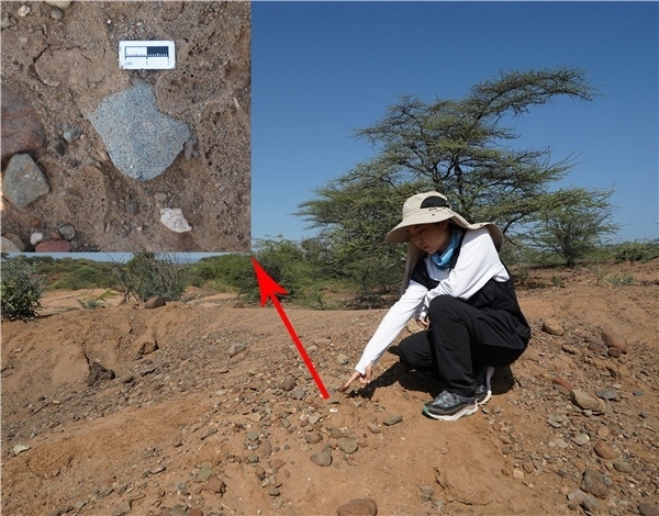 地層中的勒瓦婁哇石片。中肯聯(lián)合考古隊供圖