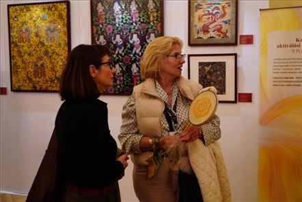 游客觀賞。布達(dá)佩斯中國文化中心供圖