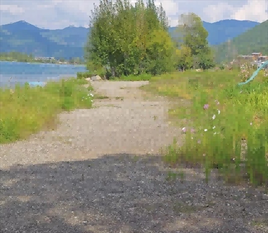 王軍所說被填區(qū)域。 人民網(wǎng)記者 黃鈺攝