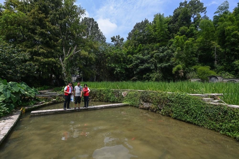 2023年8月17日，浙江省麗水市青田縣方山鄉(xiāng)田魚養(yǎng)殖戶吳勇強(qiáng)（中）在接受青田農(nóng)商銀行“小蜻蜓”服務(wù)隊(duì)志愿者提供的“惠民易貸”上門服務(wù)。近年來，青田縣金融發(fā)展中心聯(lián)合各個(gè)金融機(jī)構(gòu)優(yōu)化配套鄉(xiāng)村振興金融服務(wù)，推出“惠民易貸”“農(nóng)家樂貸”等金融產(chǎn)品，重點(diǎn)支持涉農(nóng)龍頭企業(yè)及特色種養(yǎng)殖產(chǎn)業(yè)。新華社記者 徐昱 攝