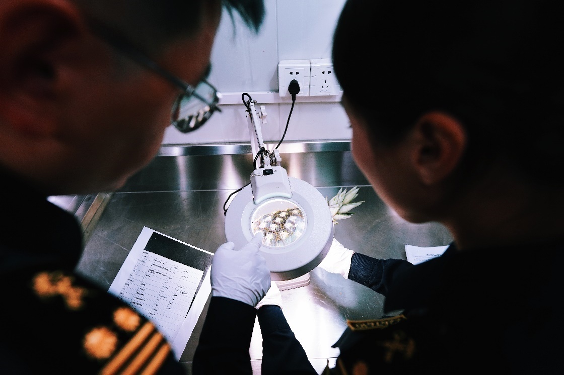 上海海關(guān)關(guān)員針對檢疫性有害生物和農(nóng)藥殘留進行檢疫檢驗。陳興洲攝