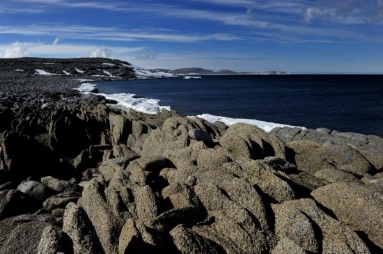 羅斯海恩克斯堡島的夏季風光。新華社記者 張建松 攝