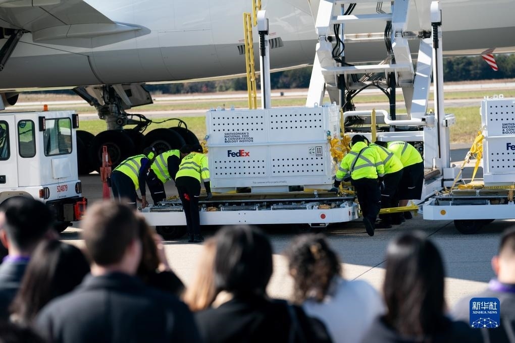 11月8日，在美國(guó)弗吉尼亞州的華盛頓杜勒斯國(guó)際機(jī)場(chǎng)，裝有大熊貓的特制“旅行包廂”準(zhǔn)備運(yùn)上專機(jī)。新華社記者劉杰攝