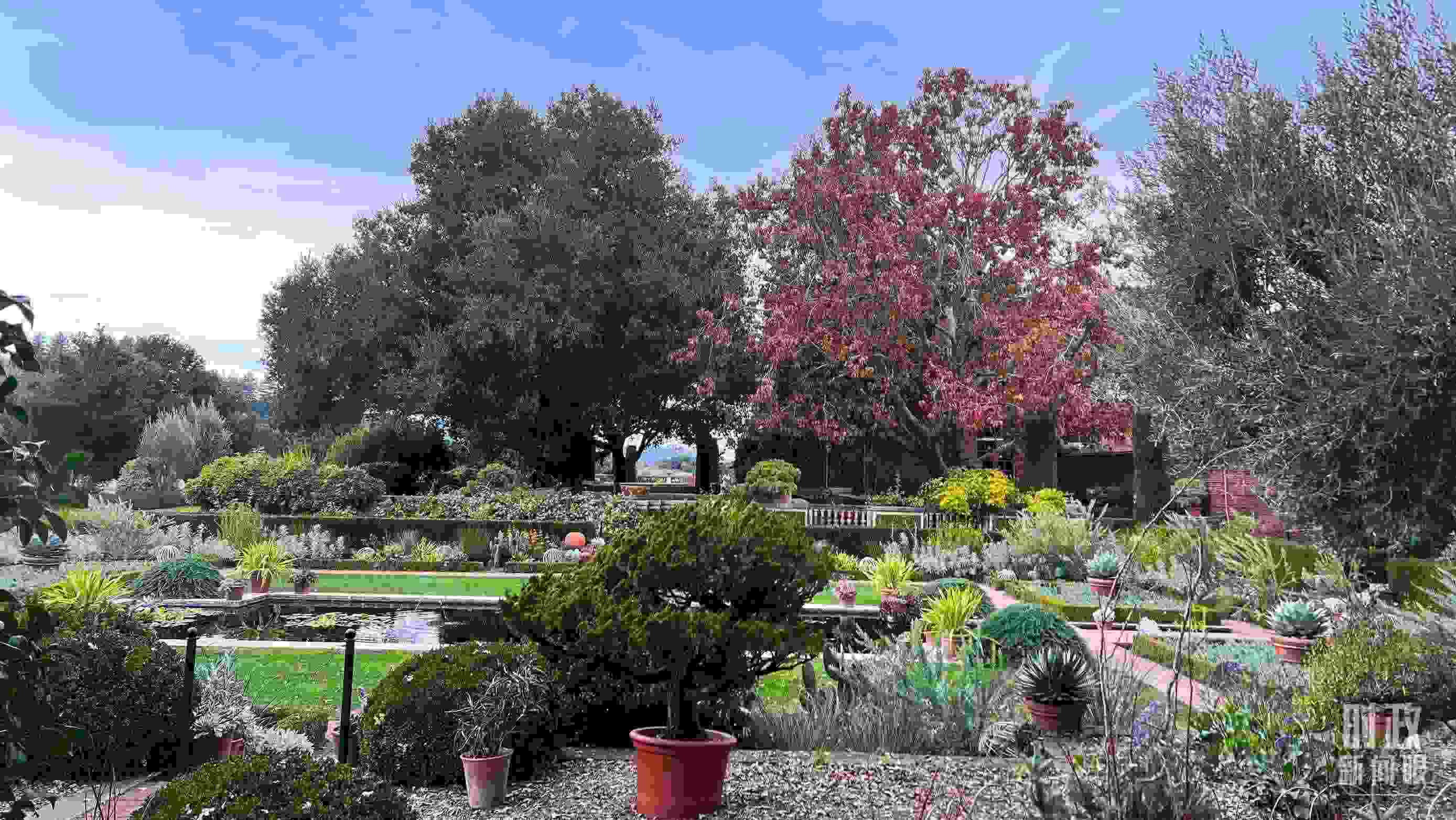 斐洛里莊園被稱作美國20世紀(jì)現(xiàn)存最精美鄉(xiāng)村莊園之一。（總臺央視記者程鋮拍攝）