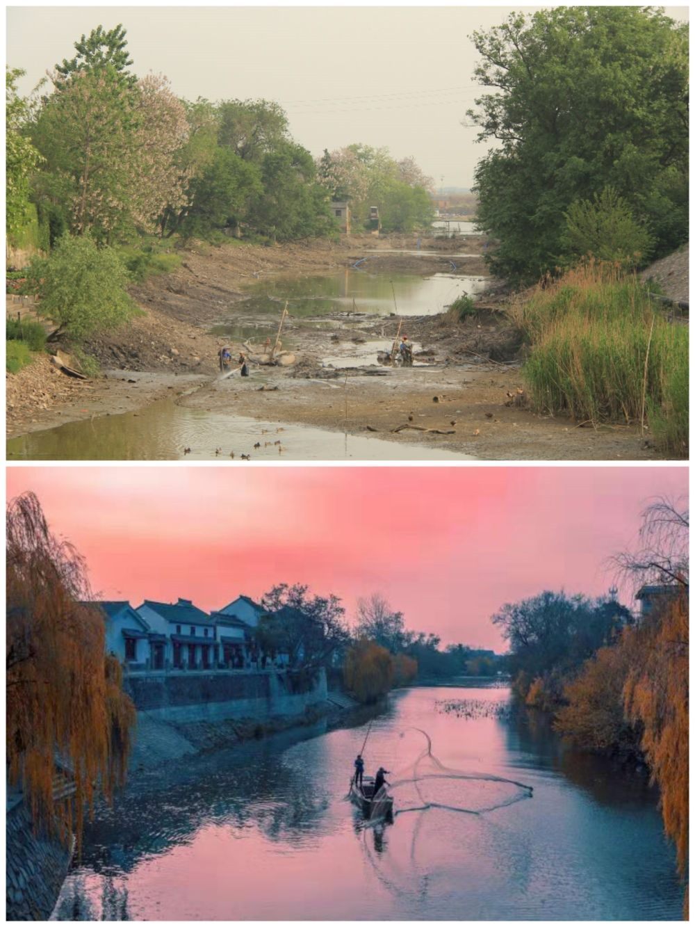 江蘇省揚(yáng)州市江都區(qū)明清運(yùn)河故道整治前后。（上圖：2012年；下圖：2020年）（孫友定 攝）