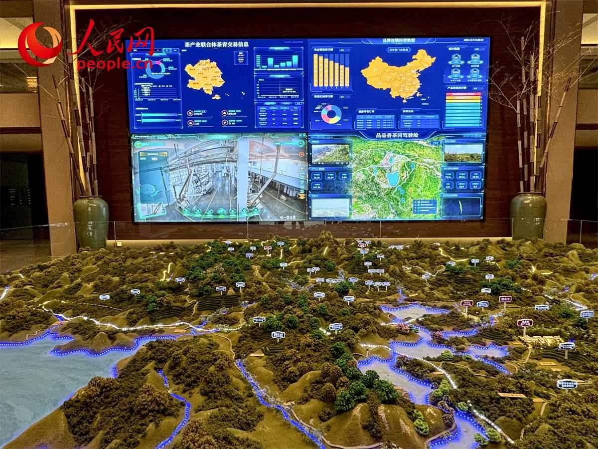 品品香白茶產(chǎn)業(yè)園信息中心數(shù)智化大屏。人民網(wǎng)記者 劉微攝