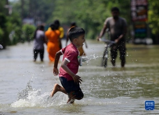 11月24日，一名男孩在斯里蘭卡加姆珀哈涉水出行。新華社發(fā)（阿吉特·佩雷拉攝）