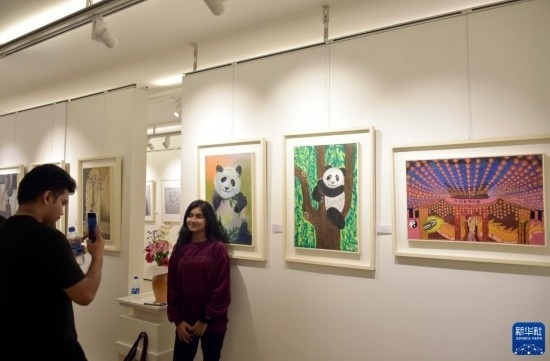 11月22日，在孟加拉國達卡，人們在“國家印象”繪畫展上參觀拍照。新華社發(fā)（薩利姆攝）