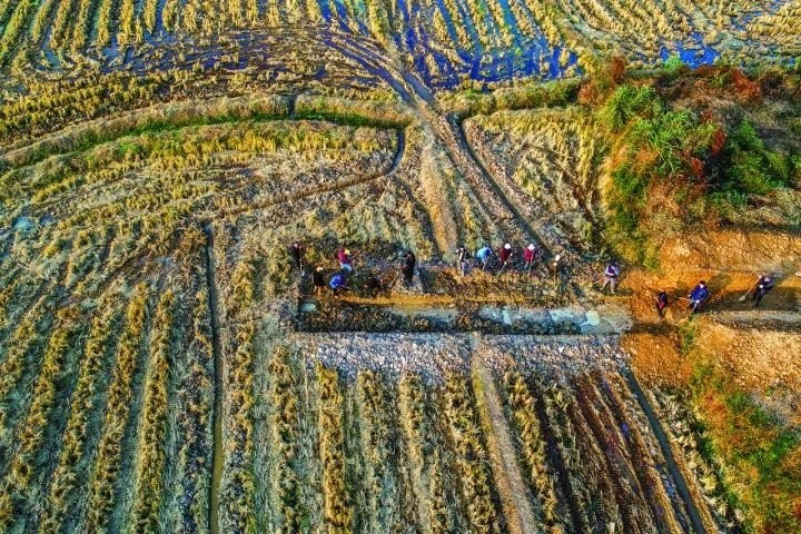 良渚遺址考古發(fā)掘現(xiàn)場。