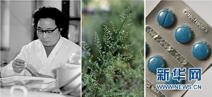 屠呦呦、青蒿和抗瘧疾成藥（拼版資料照片）