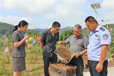  圖②：蒙山法院黃村法庭法官深入蜂蜜合作社，實(shí)地了解蜂農(nóng)需求。
