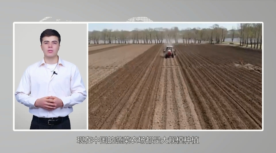 【國際3分鐘】中國大蒜成國家威脅?美政客反智言論背后的問題值得思考_fororder_2