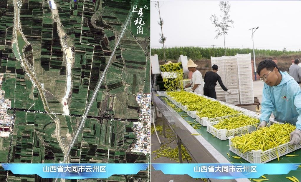 當(dāng)前，大同市開發(fā)黃花菜品、食品、飲品、功能食品、化妝品、文創(chuàng)產(chǎn)品六大系列130余種，全產(chǎn)業(yè)鏈產(chǎn)值超40億元。