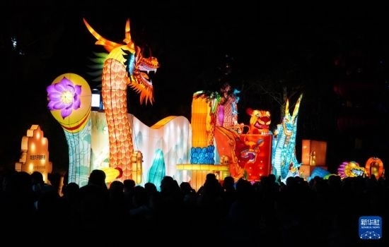 2月11日晚，人們?cè)跐?jì)南市趵突泉公園觀賞花燈。