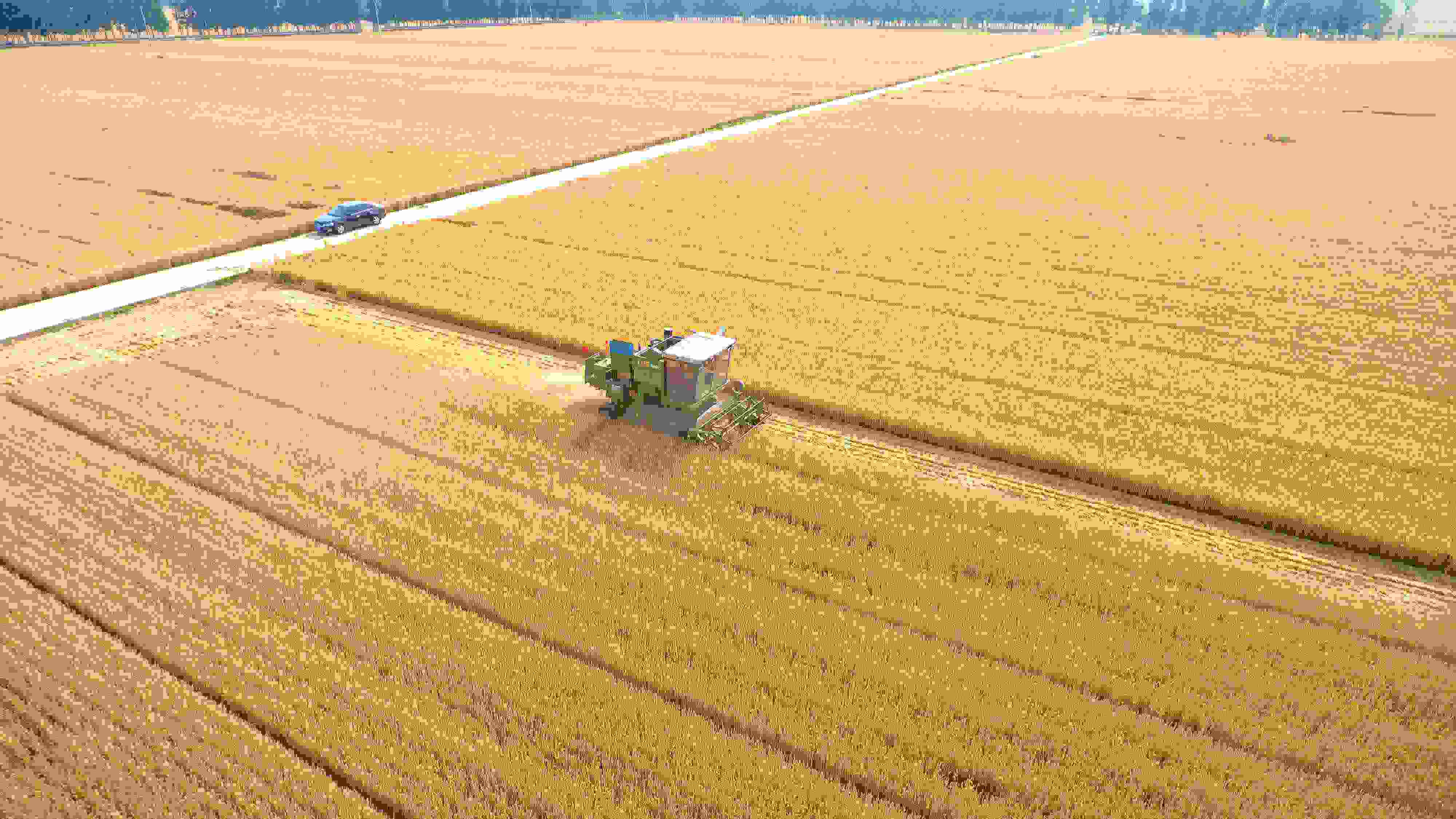 △ 2023年6月5日，山東聊城茌平區(qū)賈寨鎮(zhèn)王藥包村，收割機(jī)在田間進(jìn)行小麥?zhǔn)崭钭鳂I(yè)。