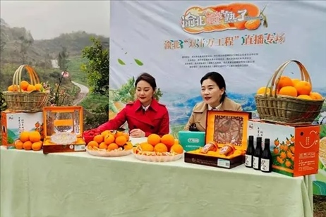 2021年2月26日，在重慶渝北區(qū)大盛鎮(zhèn)青龍村舉辦的直播活動(dòng)現(xiàn)場(chǎng)。