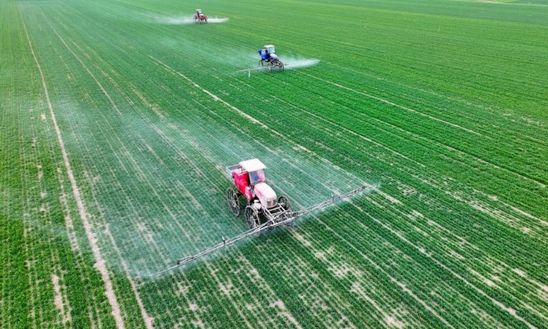 2024年2月18日，安徽省亳州市，利辛縣紀(jì)王場(chǎng)鄉(xiāng)孫老家村麥田，農(nóng)民駕駛自走式高桿噴霧機(jī)對(duì)小麥進(jìn)行噴藥作業(yè)。