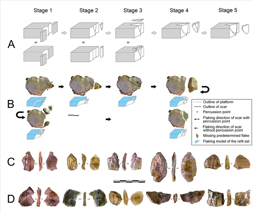 岑家灣遺址“準(zhǔn)備石核技術(shù)”及相關(guān)石制品。（受訪單位供圖）