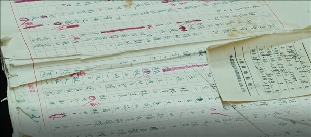 曲波《林海雪原》手稿。主辦方供圖