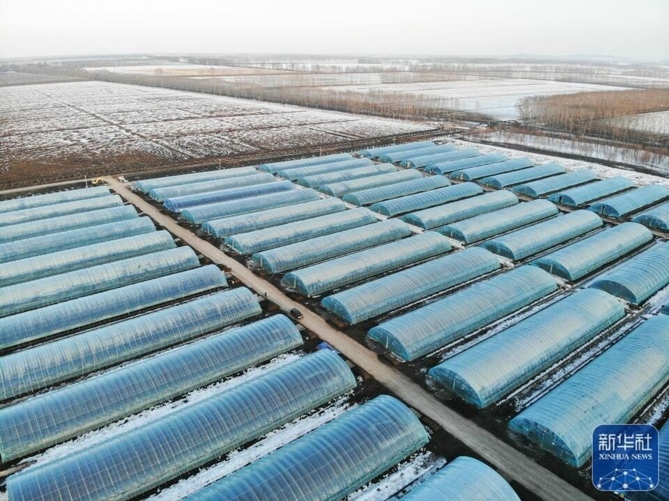 新華全媒+|“大糧倉”黑龍江春耕備耕火熱進(jìn)行