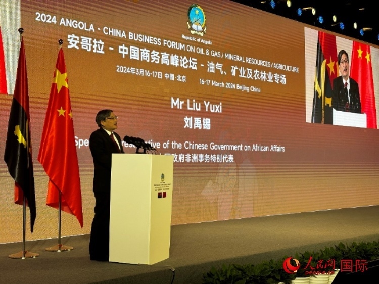 中國政府非洲事務特別代表劉禹錫。人民網(wǎng)記者 張榮攝