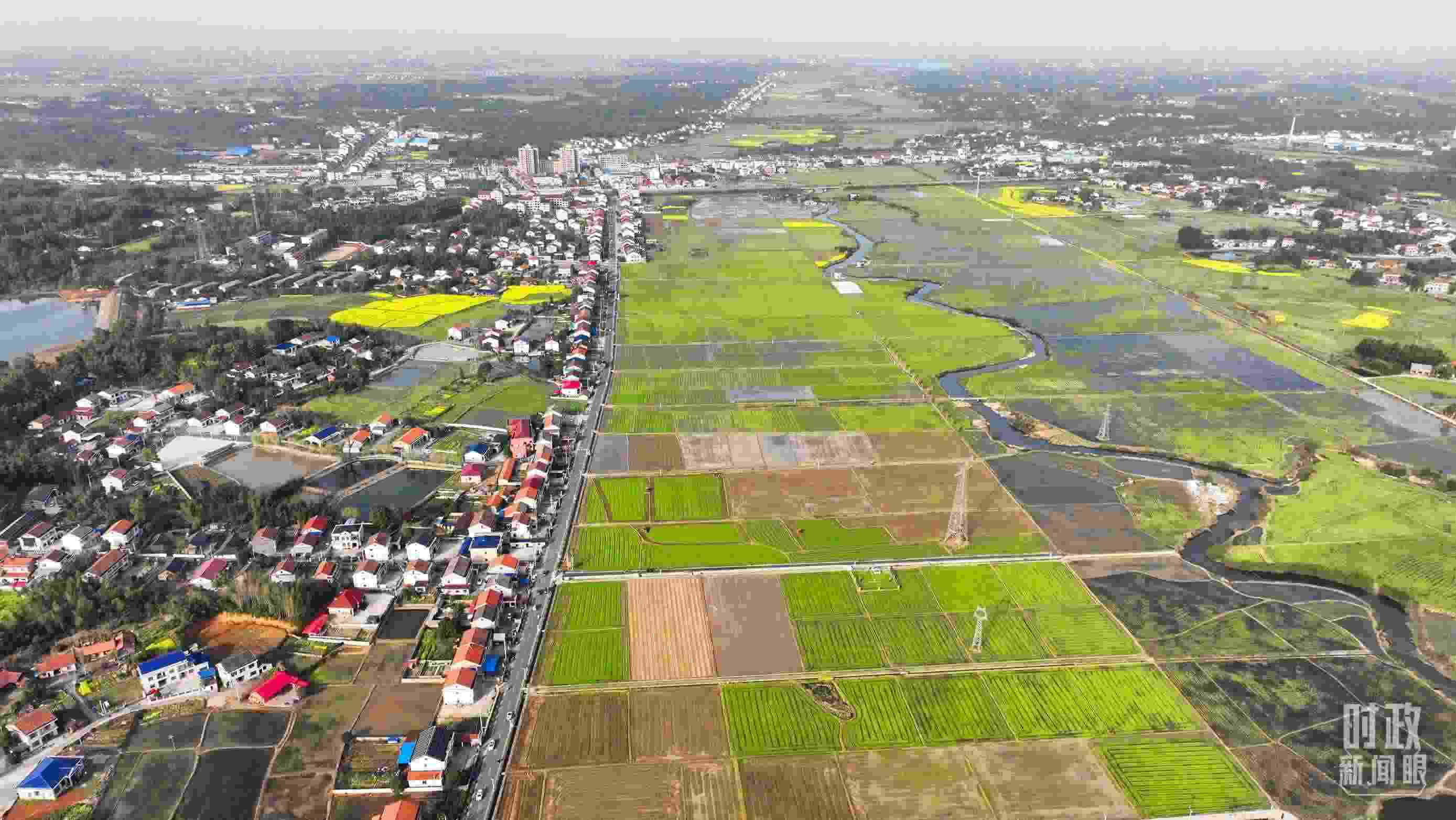 △俯瞰常德市謝家鋪鎮(zhèn)港中坪村。（總臺(tái)國(guó)廣記者李晉拍攝）