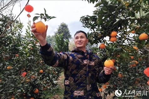 鐵牛村村民趙光進(jìn)。人民網(wǎng)記者 朱虹攝