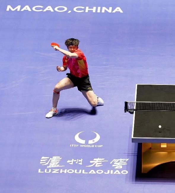 王楚欽在比賽中。賽事方供圖