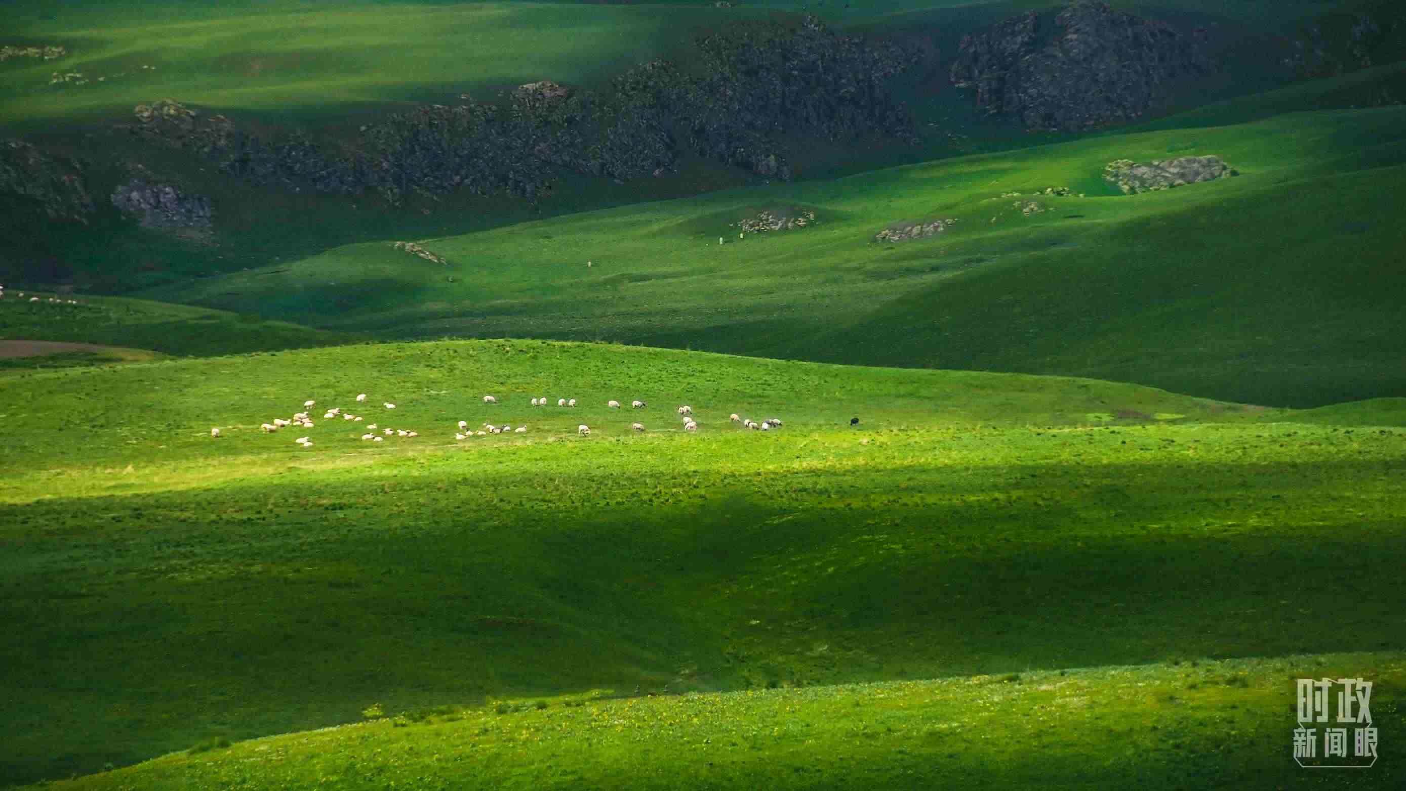 △祁連山草原光影。（圖/視覺中國）