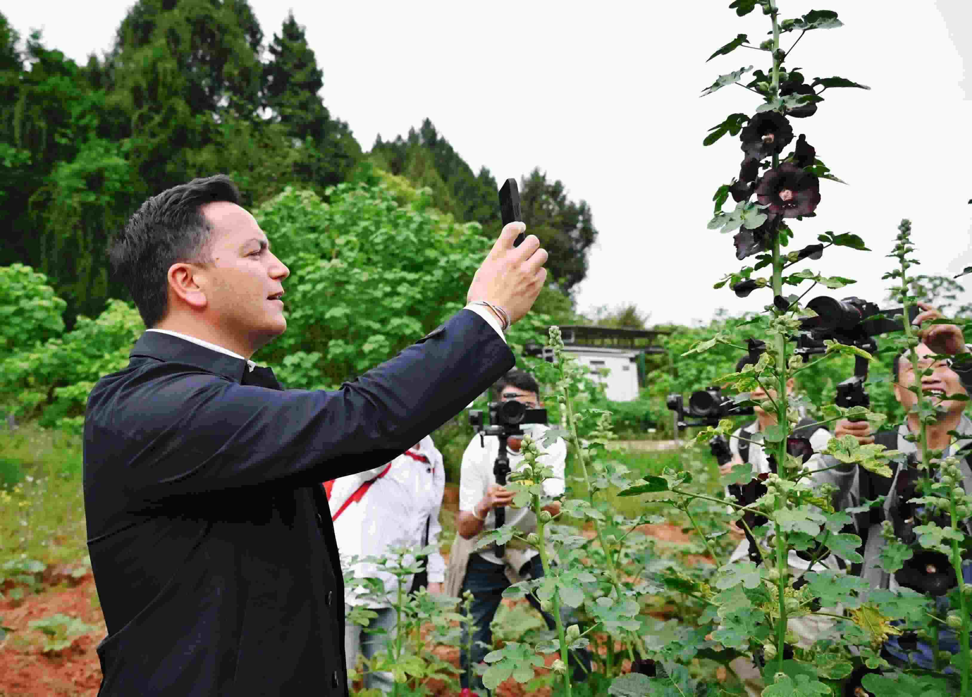  △2024年4月23日，國際園藝生產(chǎn)者協(xié)會(huì)主席萊昂納多·卡皮塔尼奧在成都市金堂縣鮮花山谷景區(qū)考察蜀葵產(chǎn)業(yè)。