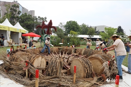 坎波·馬特活動現(xiàn)場。埃內(nèi)斯托·多明戈斯攝