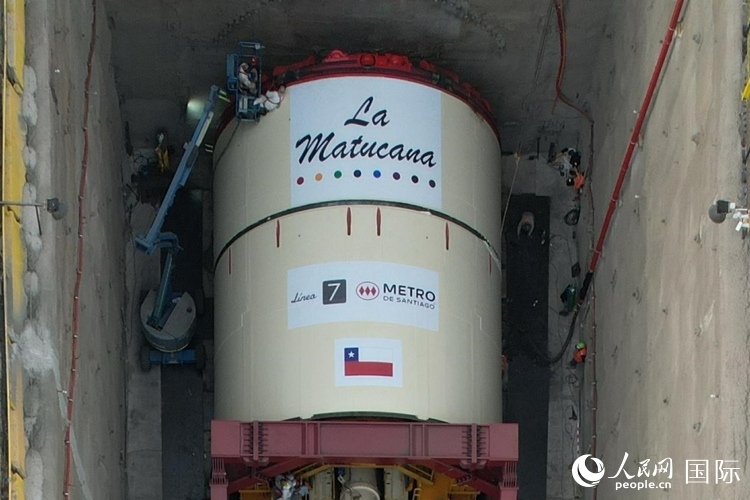 質(zhì)構(gòu)機(jī)全景。陳露明攝