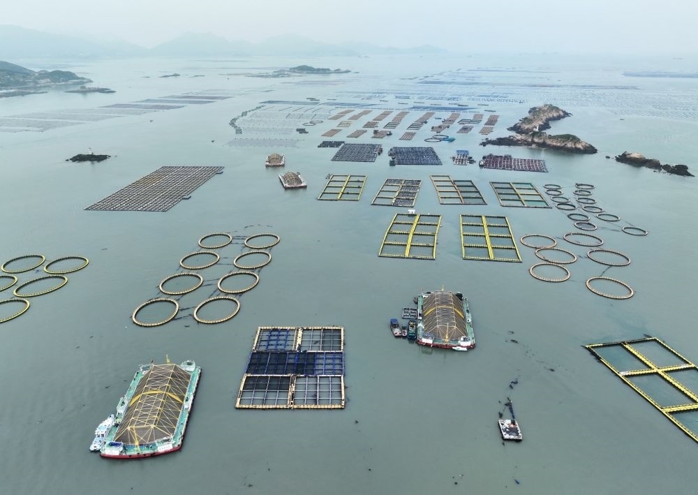 在福建連江定海灣海域，坐落著“定海灣1號”“定海灣2號”等深遠海養(yǎng)殖平臺（2024年5月7日攝，無人機照片）。新華社記者 林善傳 攝
