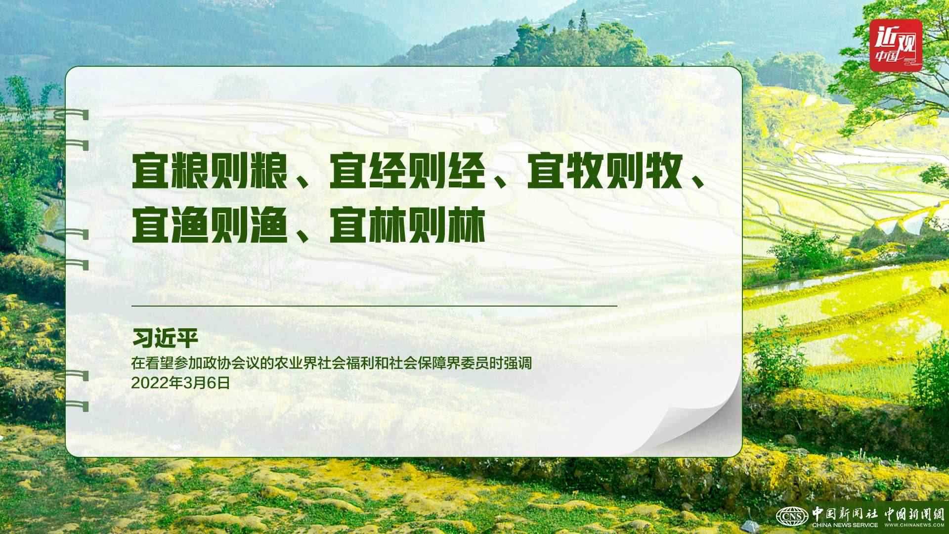 習(xí)近平：樹(shù)立大食物觀，構(gòu)建多元化食物供給體系